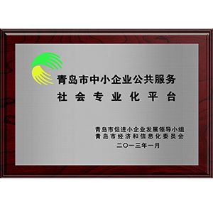 青岛市中小企业公共服务社会专业化平台